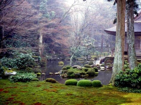Les plus belles photos de la Communauté GEO : le Japon