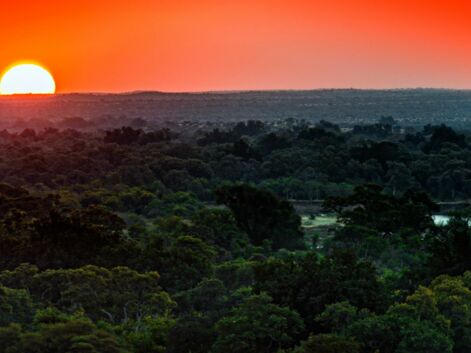 Afrique du Sud : du parc Kruger au cap de Bonne-Espérance