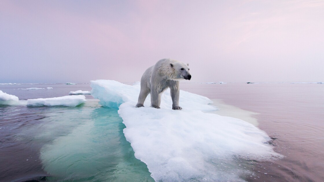 Un Rappel Scientifique Que Nos Climatologues Annonciateurs De Catastrophes Devraient Lire Et Mediter Ca N Empeche Pas Nicolas