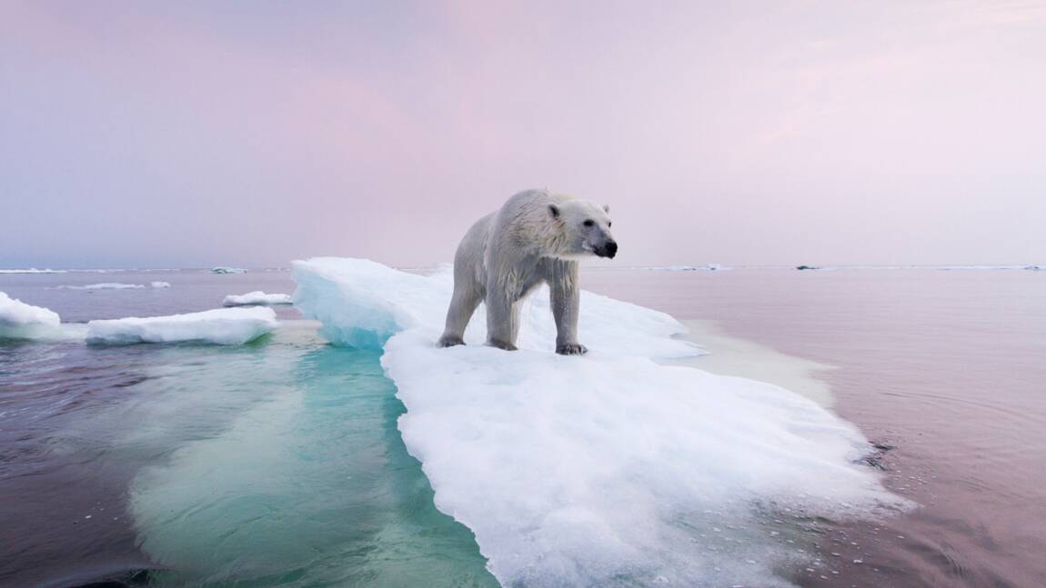 10 photos qui révèlent le visage du changement climatique