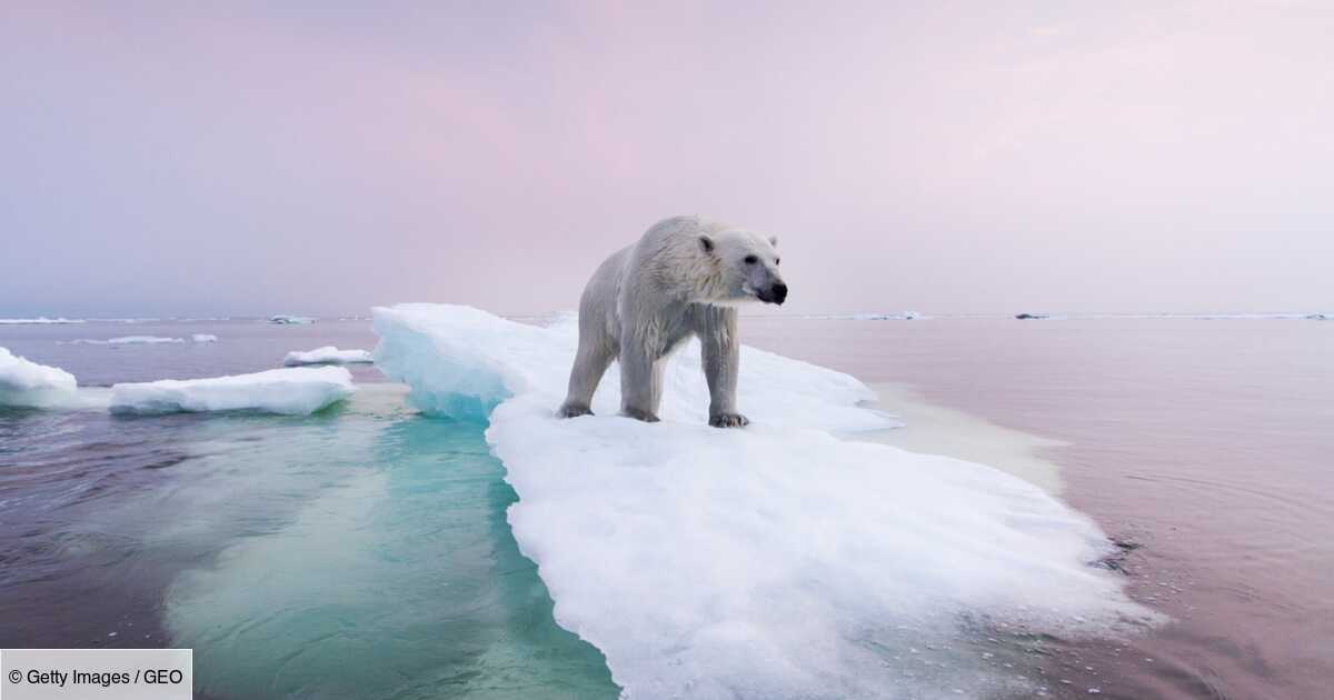 photos qui révèlent le visage du changement climatique Geo fr