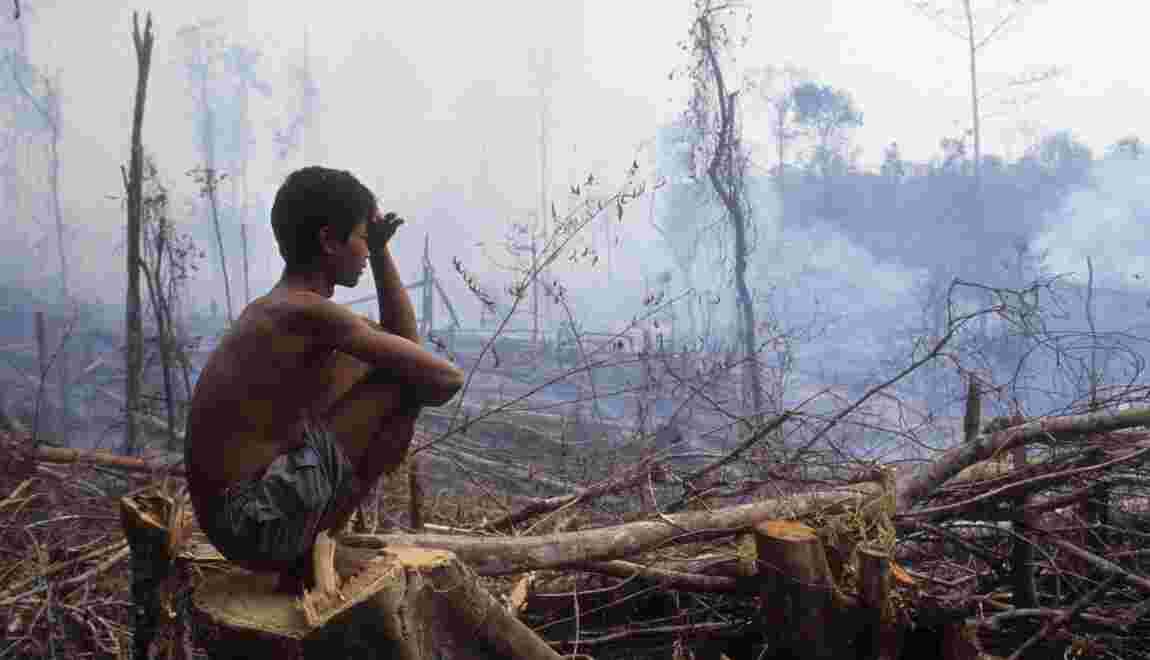 Son Meilleur Des Mondes Est L'un Des Pires L'Indonésie face à l'une des pires "crises incendies" de son histoire