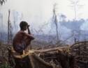 L'Indonésie face à l'une des pires "crises incendies" de son histoire
