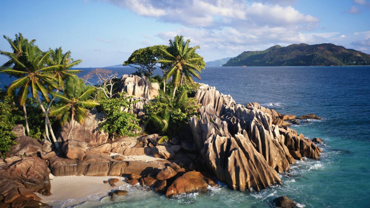 Les Seychelles, un des plus beaux sites de plongée de l'océan Indien