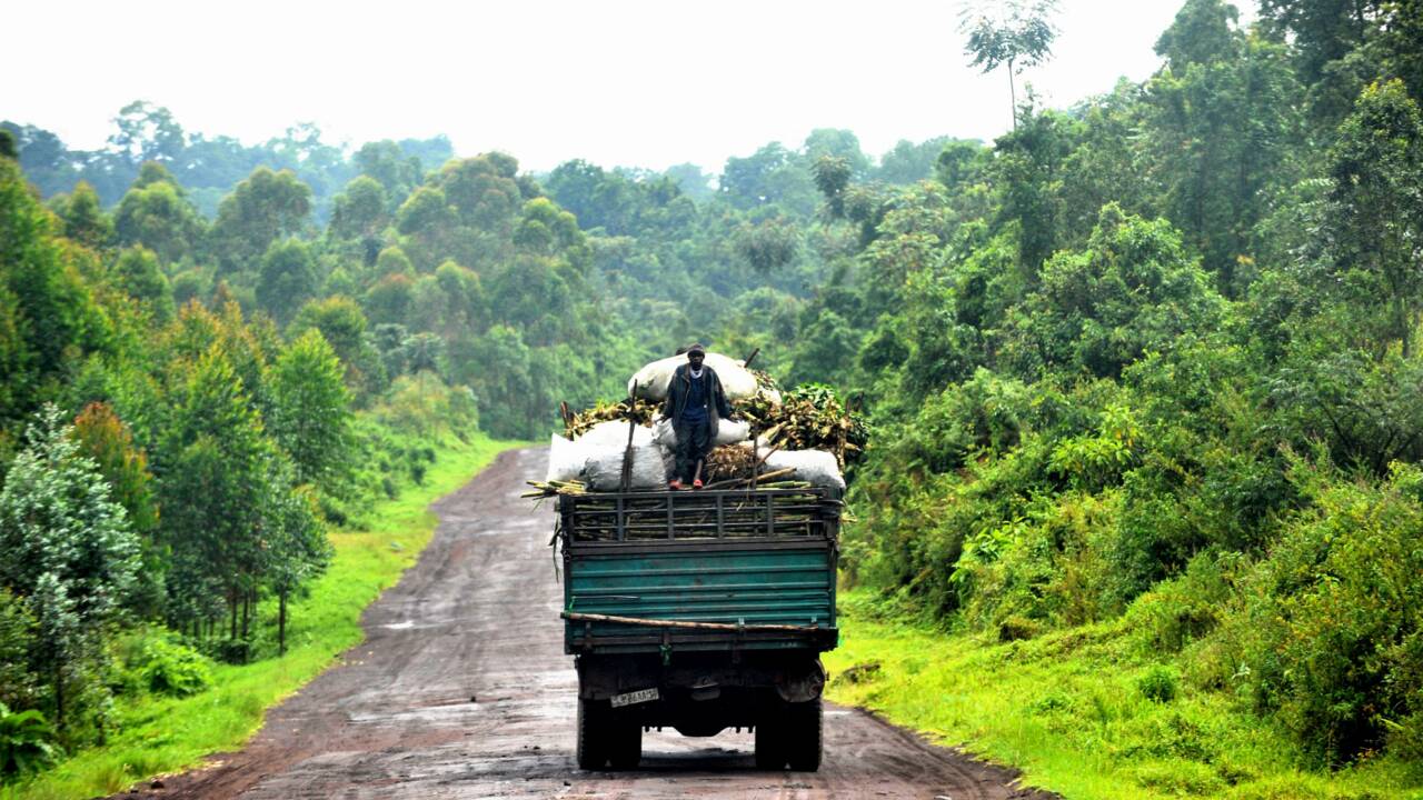 COP23: l'accord de Paris passe par les tourbières du Congo