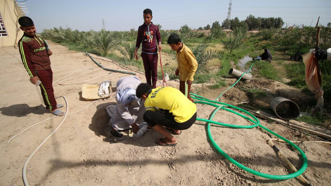 Dans le sud agricole de l'Irak, la sécheresse s'accentue