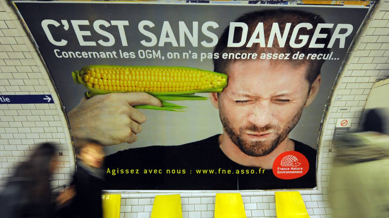 Les opposants aux OGM du monde entier réunis en Bretagne pour contrer les multinationales