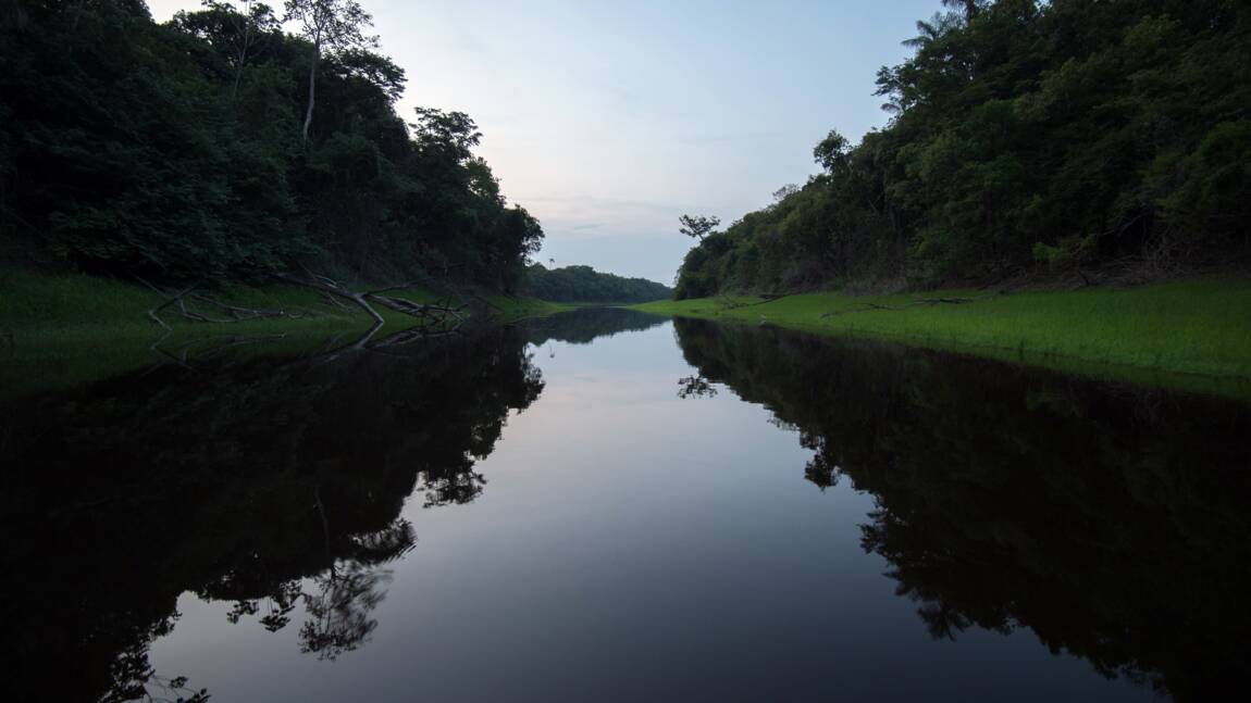 L'Amazone menacé par les projets de barrages