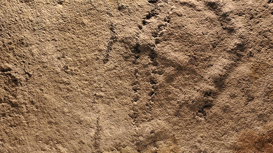 Des empreintes d'animaux vieilles de 541 millions d'années découvertes en Chine