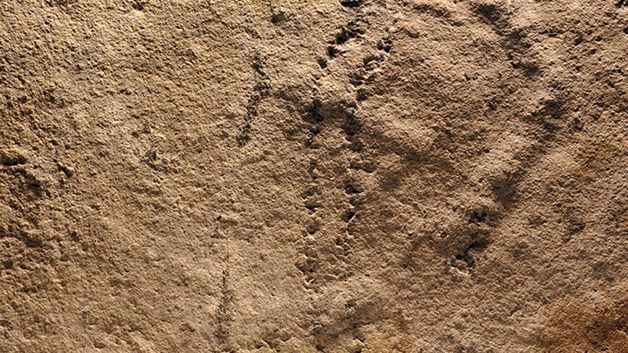 Des empreintes d'animaux vieilles de 541 millions d'années découvertes en Chine