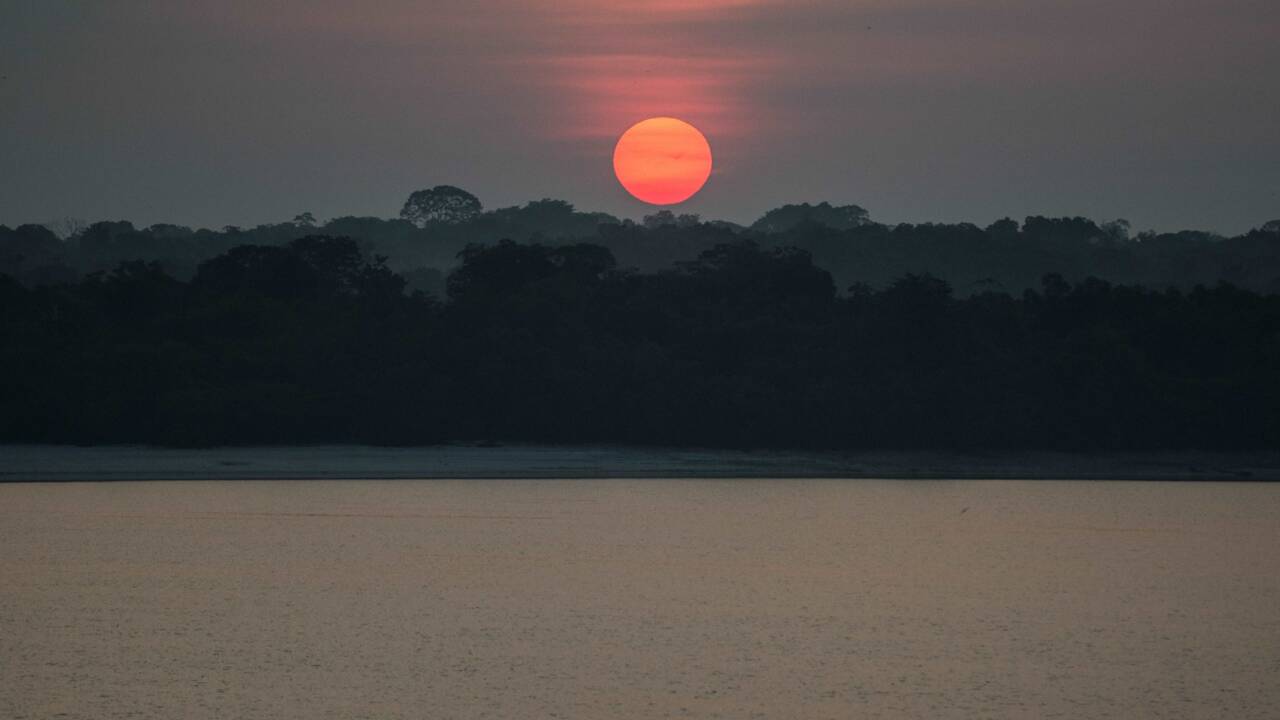 La forêt amazonienne exploitée depuis 2.000 ans par les peuples anciens