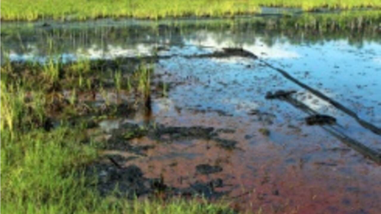 Bassin amazonien : de forts taux d'arsenic dans l'eau des puits