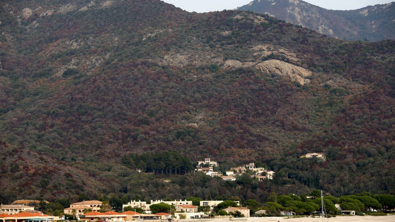 La Corse en quête de solutions, après la sécheresse et les flammes de l'été