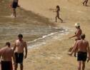 Canaries: les plages restent ouvertes malgré des algues urticantes