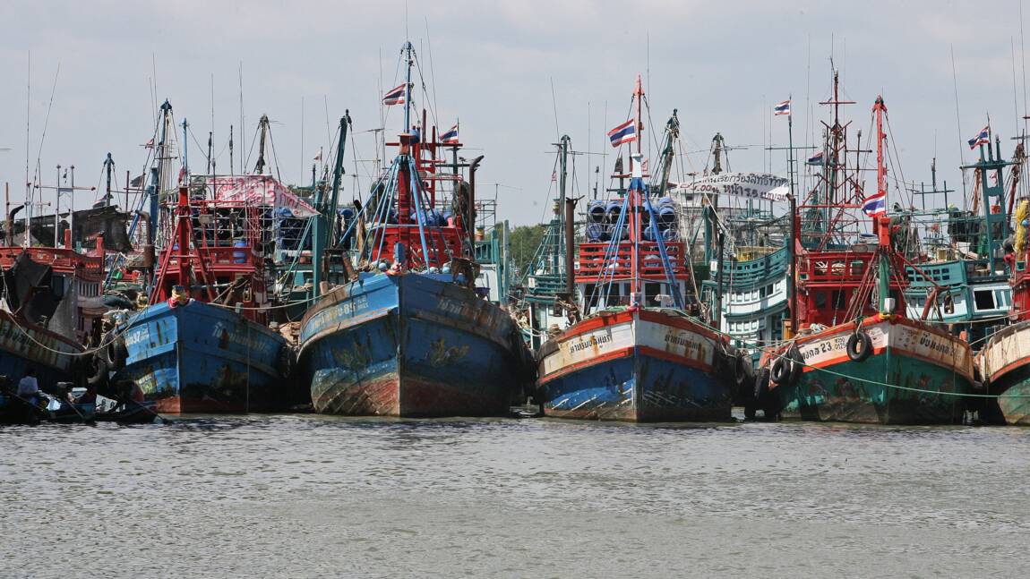 Thaïlande: les bateaux de pêche loin de leur côtes pour éviter les contrôles
