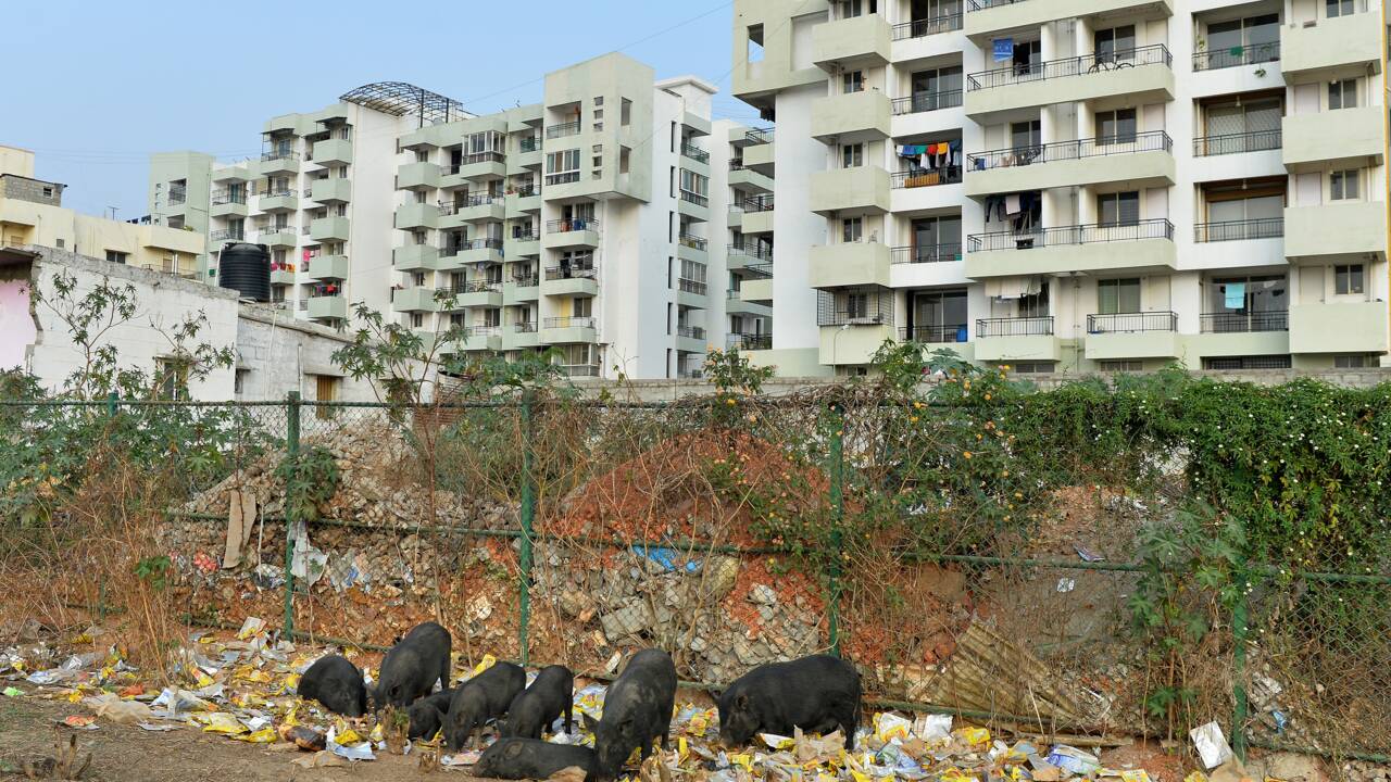 La Silicon Valley de l'Inde face au casse-tête des poubelles