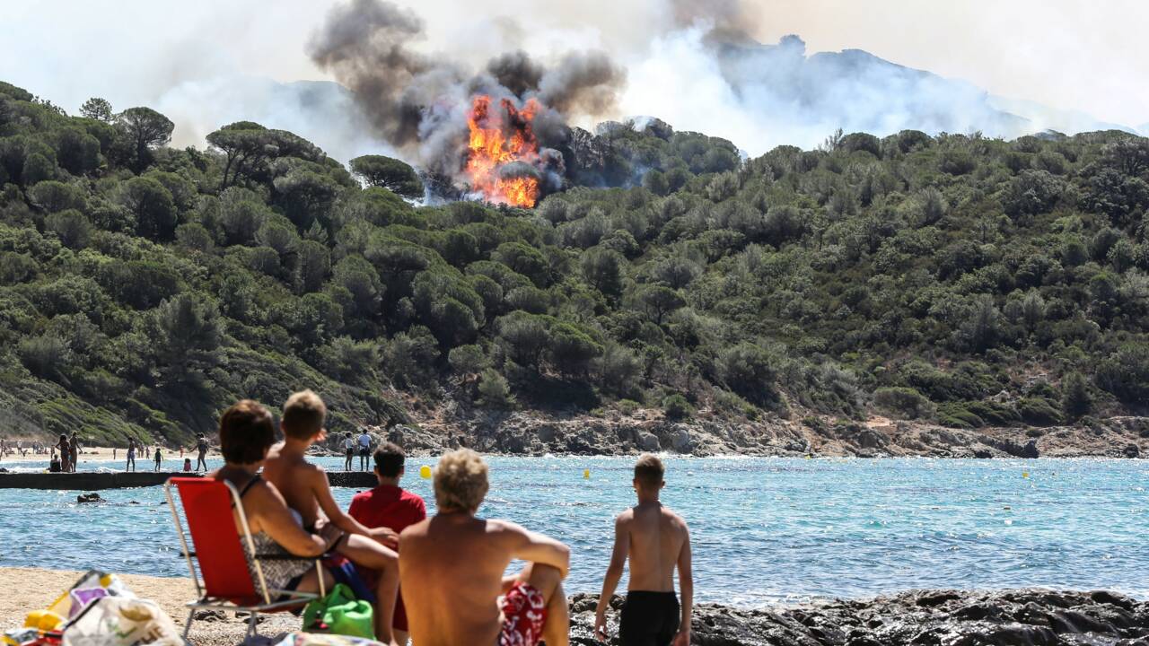 Réchauffement, urbanisme : en Méditerranée, la forêt n'a pas fini de brûler