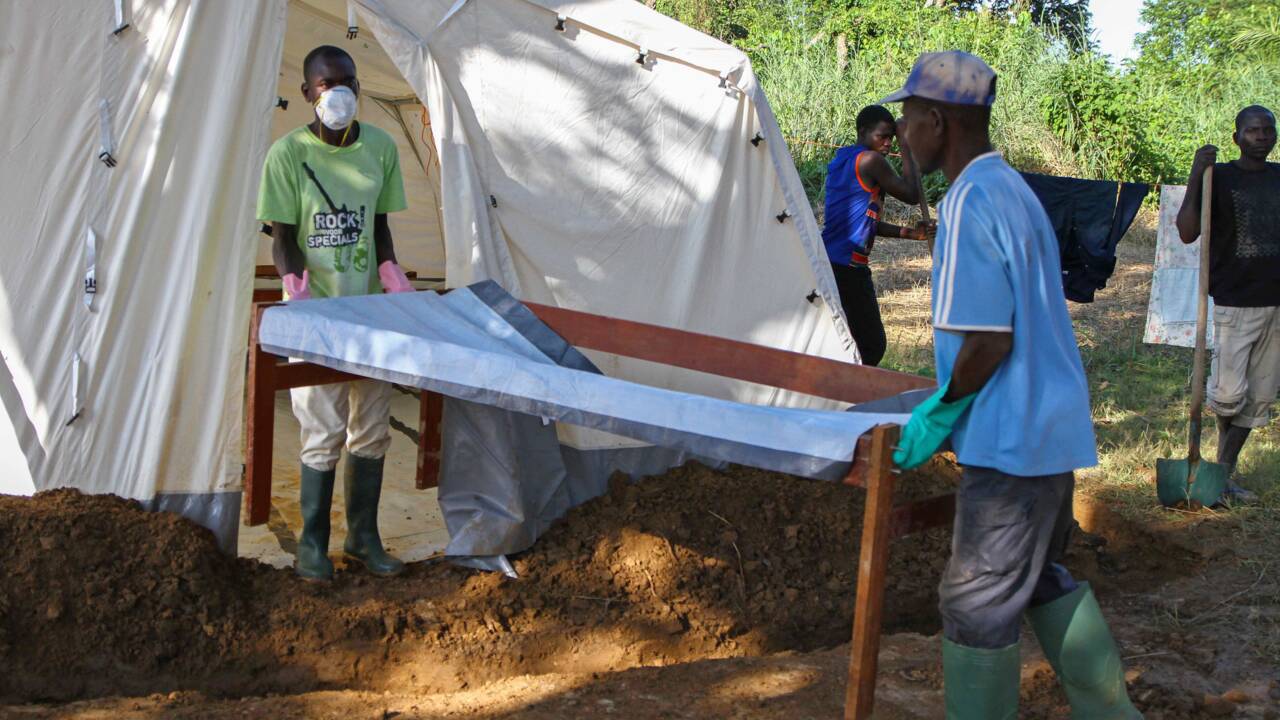 Plus de choléra en Afrique de l'Est quand El Nino est actif