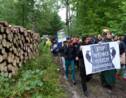 Forêt de Bialowieza: Pologne et Commission à la barre de la Cour de justice de l'UE