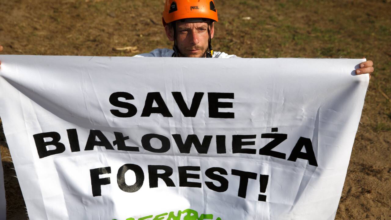 Les défenseurs de la forêt de Bialowieza manifestent à Varsovie