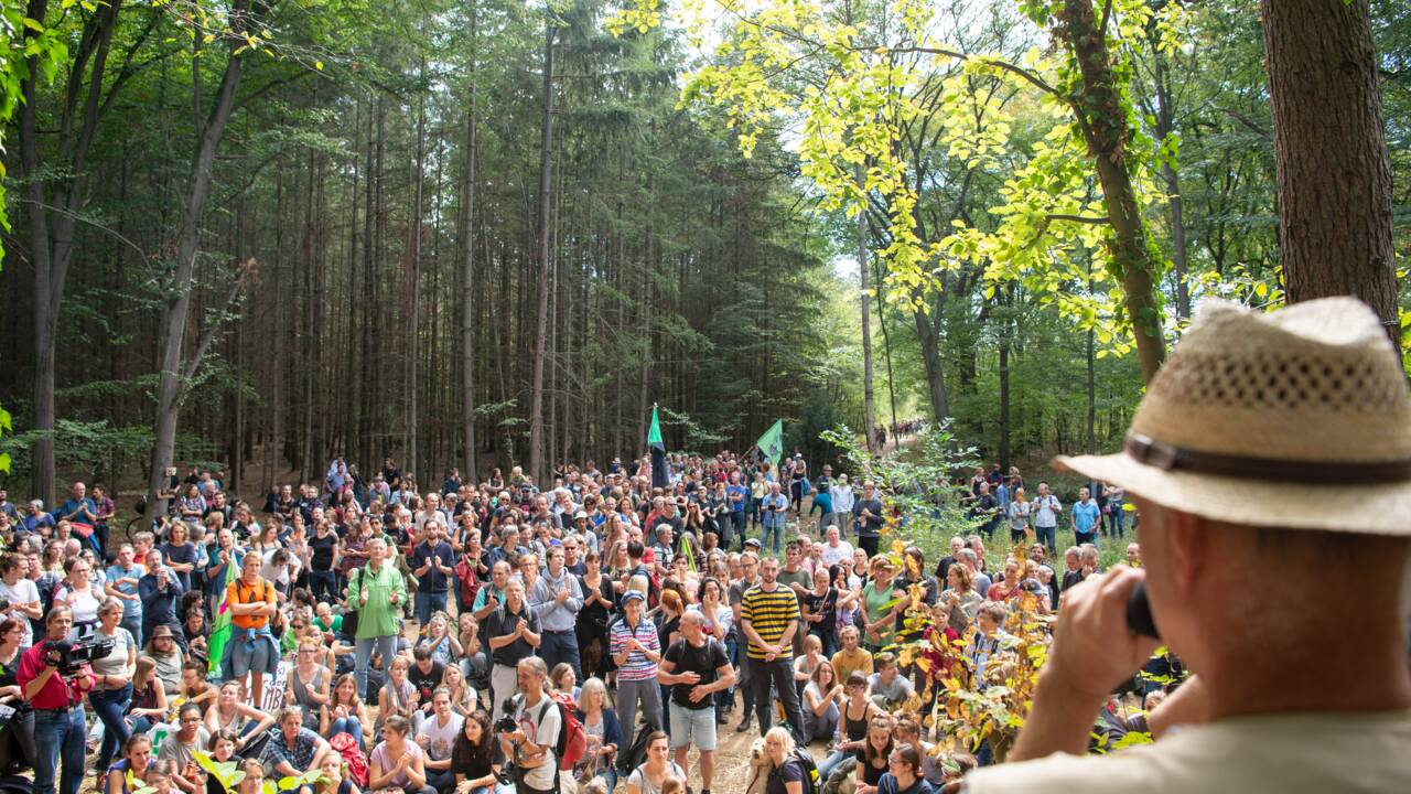 Expulsion en vue pour des militants allemands anti-charbon occupant une forêt