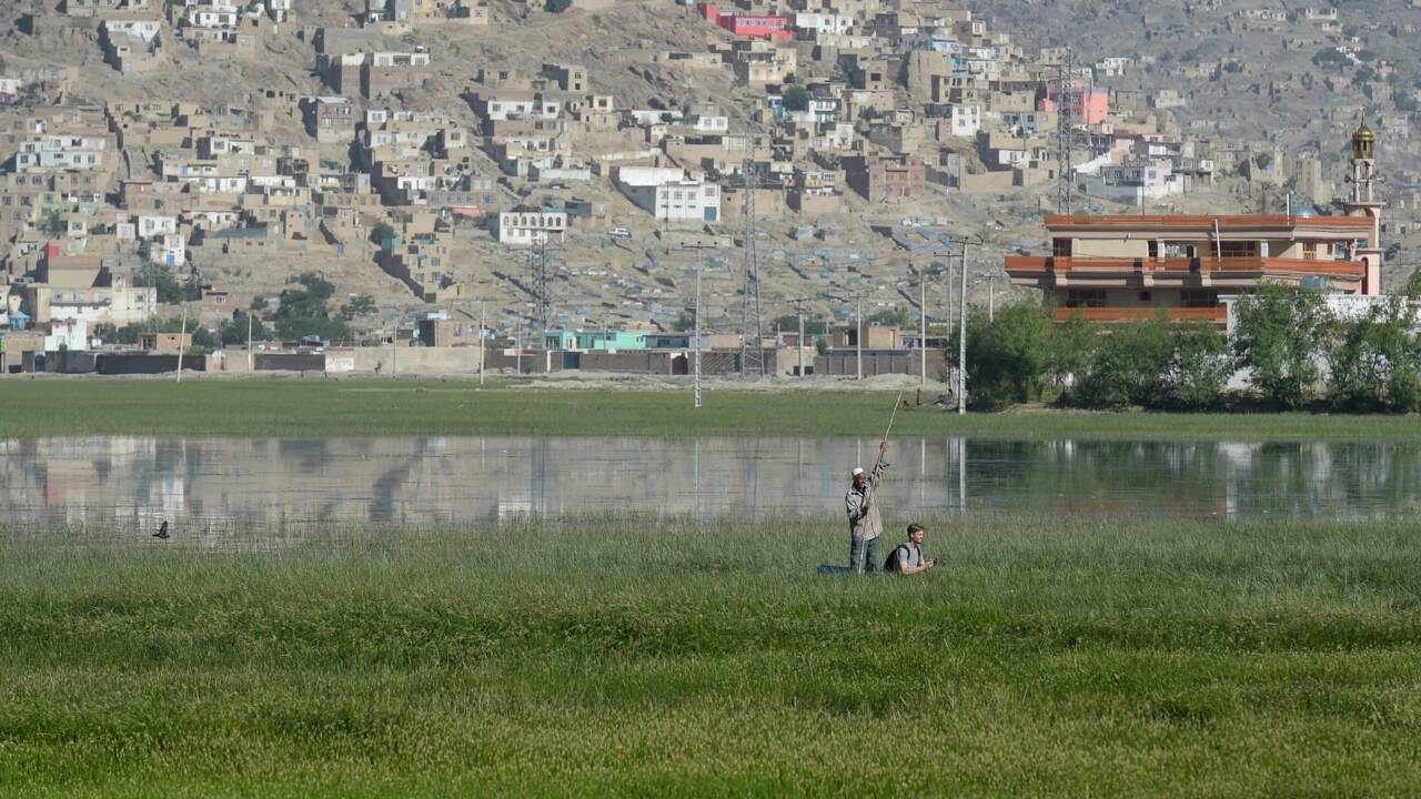 A Kaboul, une étape protégée sur la route des oiseaux migrateurs