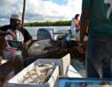 Kenya: l'océan se vide, les pêcheurs s'adaptent pour survivre