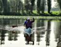 A Mexico, les pêcheurs veulent sauver le jardin aztèque de Xochimilco