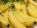 Les producteurs antillais de bananes dénoncent des "fausses" bananes bio