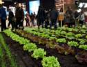 La FNSEA va proposer "200 solutions" pour réduire l'usage des  produits phytosanitaires