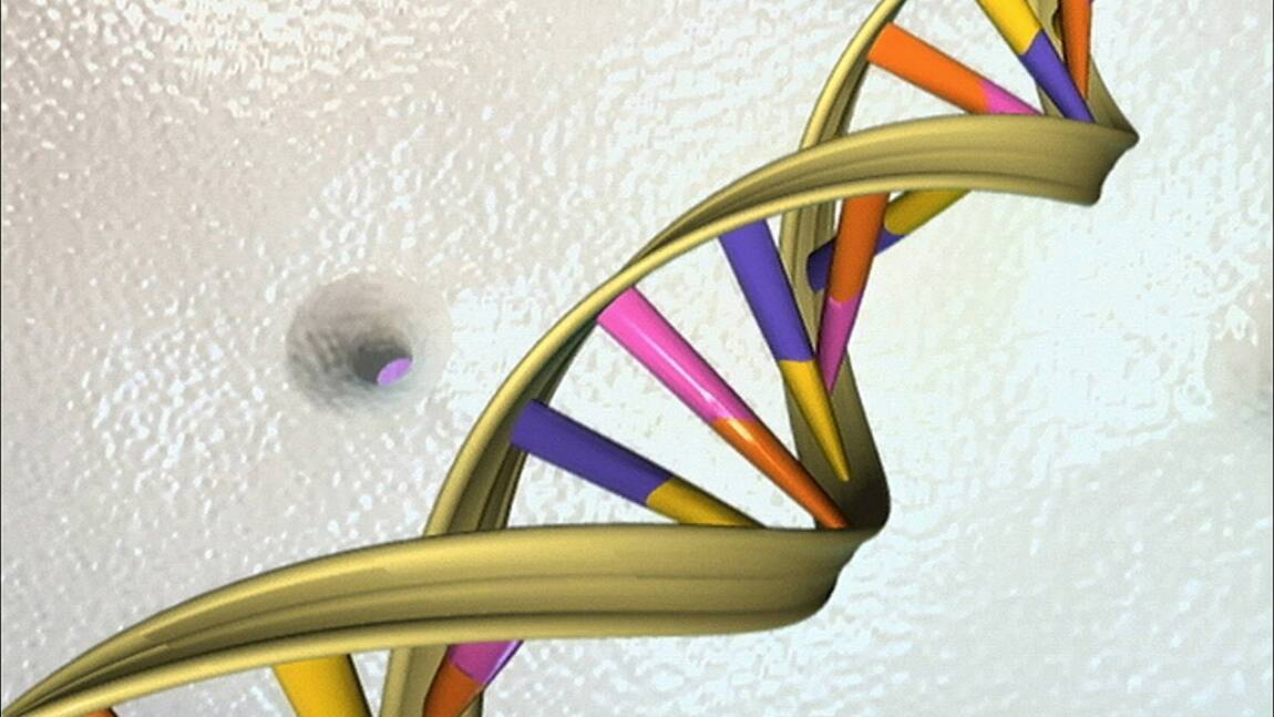 Édition du génome: l'Académie des sciences entrouvre le débat