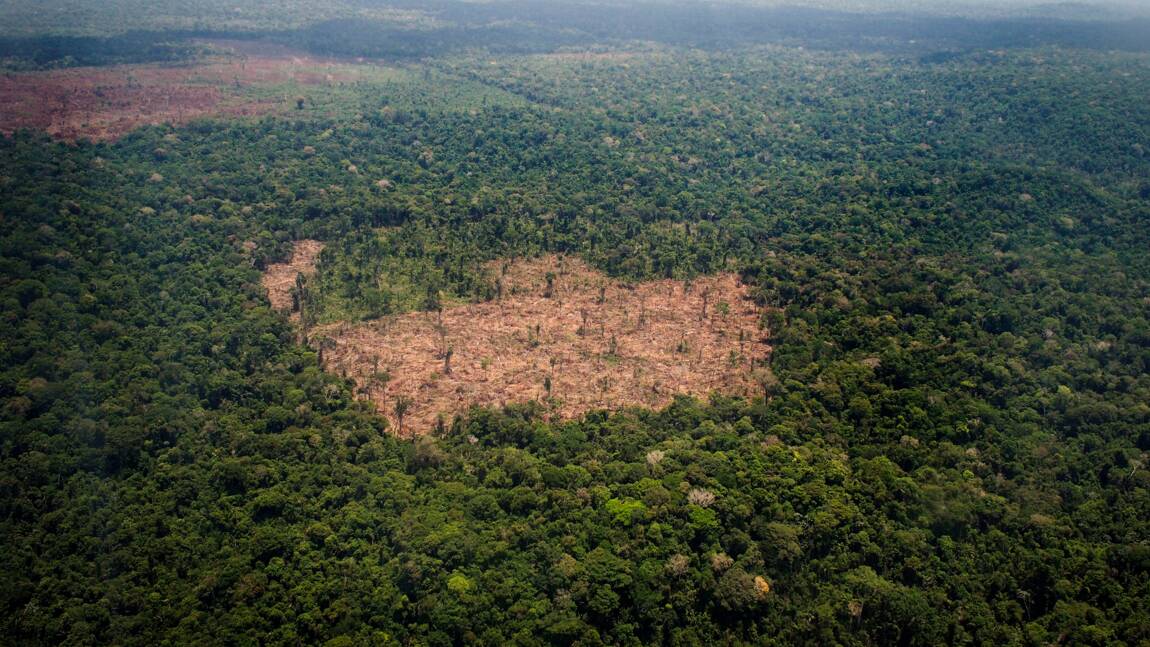 Avec la déforestation, les Tropiques émettent plus de CO2 qu'ils n'en capturent