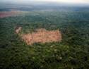 Avec la déforestation, les Tropiques émettent plus de CO2 qu'ils n'en capturent
