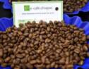 Réchauffement climatique: la production de café latino-américaine en danger