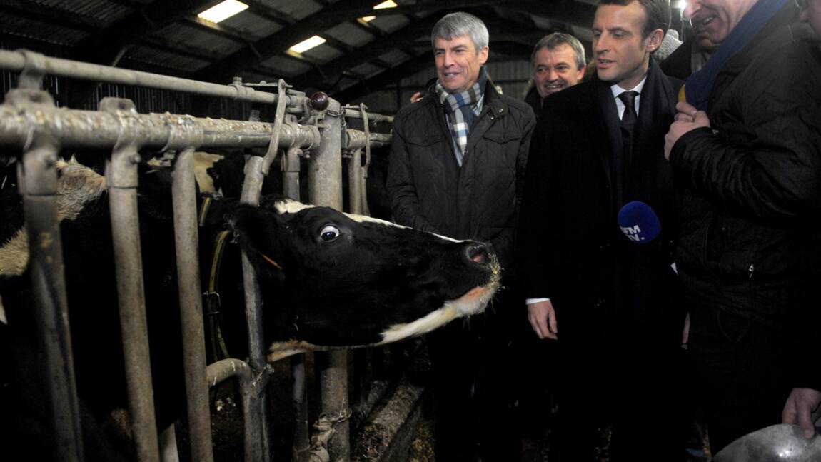 Macron a des propositions "très concrètes" pour "valoriser" le secteur agricole