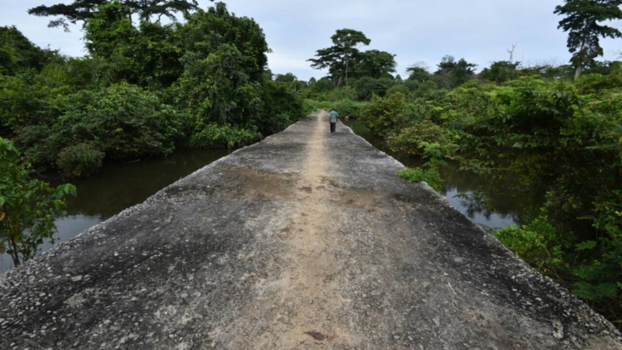Côte d'Ivoire: l'improbable pont sur la rivière Son