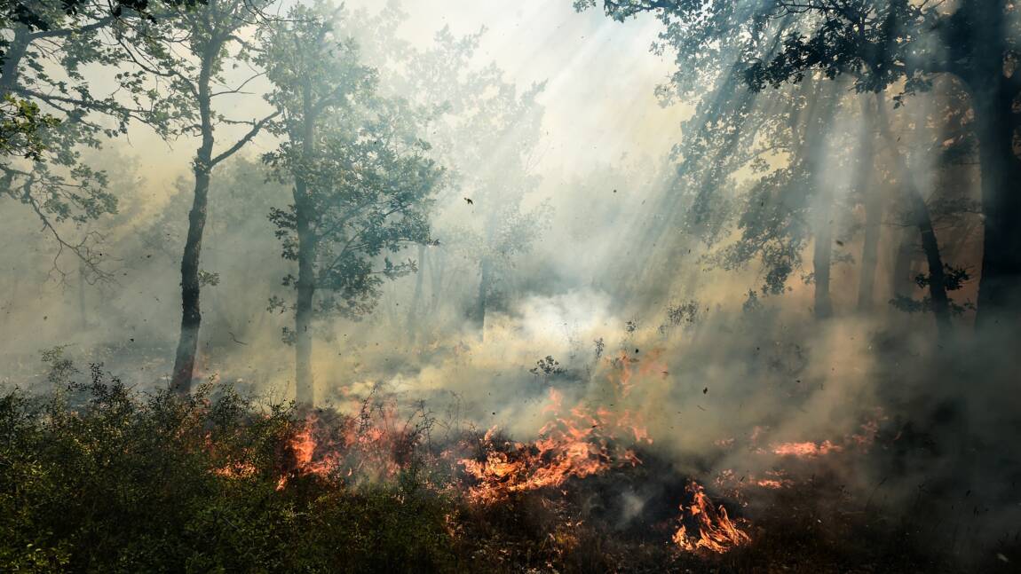 Incendies dans le Var: "catastrophe écologique" selon un ...