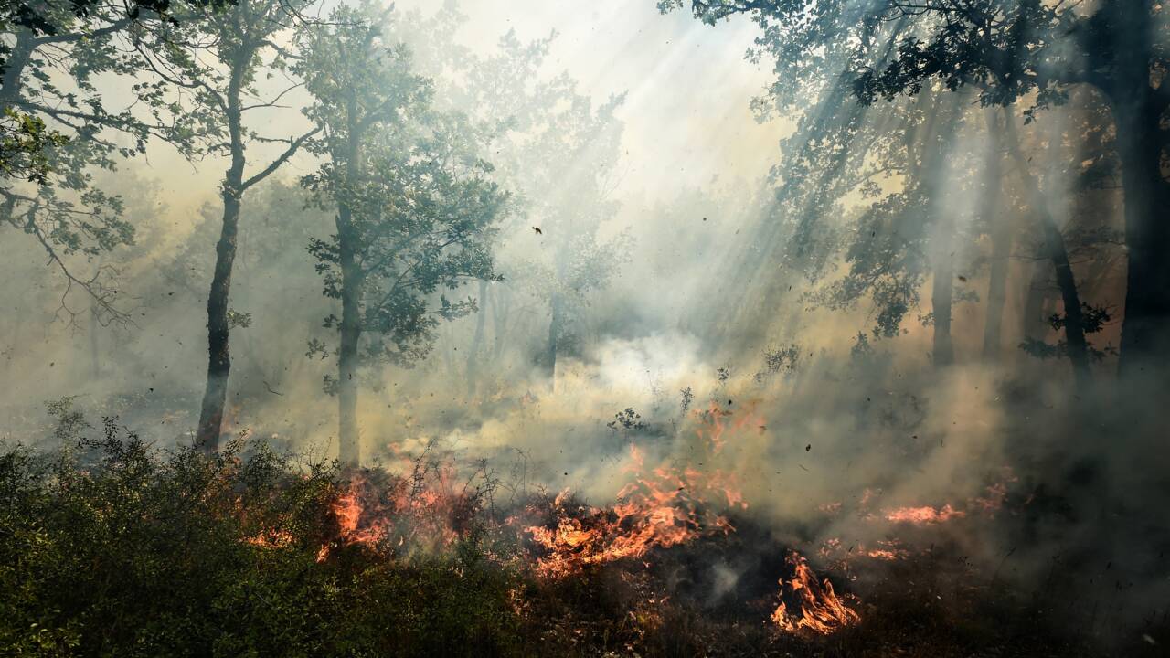 Incendies dans le Var: "catastrophe écologique" selon un élu, déficit de débroussaillement, accuse un autre