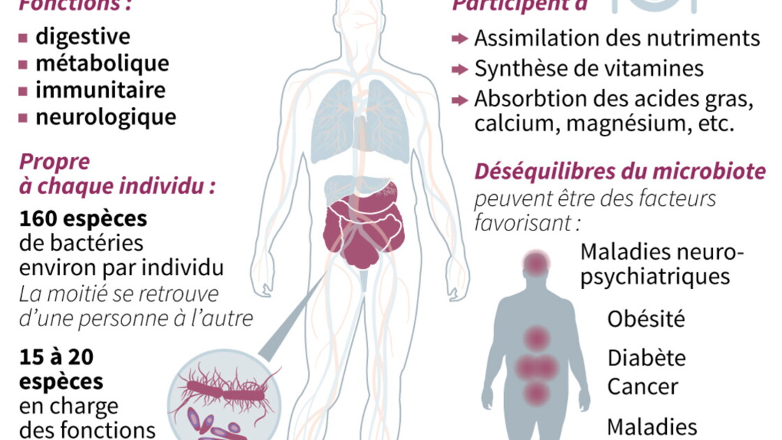 Microbiote Et Si L Avenir De La Medecine Se Trouvait Dans L Intestin Geo Fr