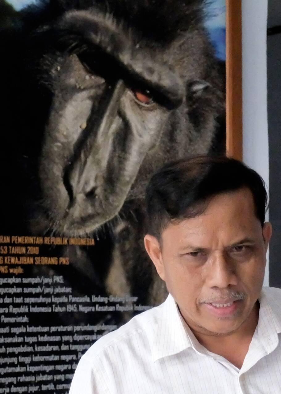 Chassé en Indonésie pour sa viande, le "macaque au selfie" en péril