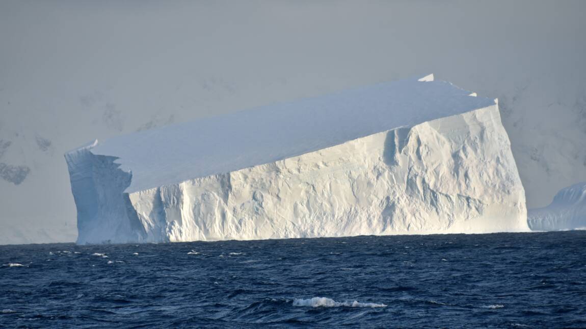 Depuis Brest ils traquent les icebergs pour les coureurs au large
