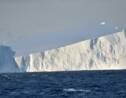 Depuis Brest ils traquent les icebergs pour les coureurs au large