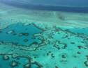 La Grande barrière de corail menacée par la pollution