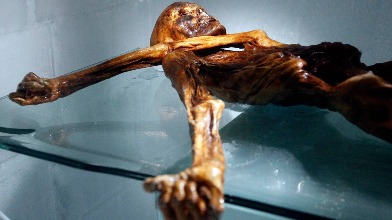 Ötzi avait mangé du lard avant de mourir