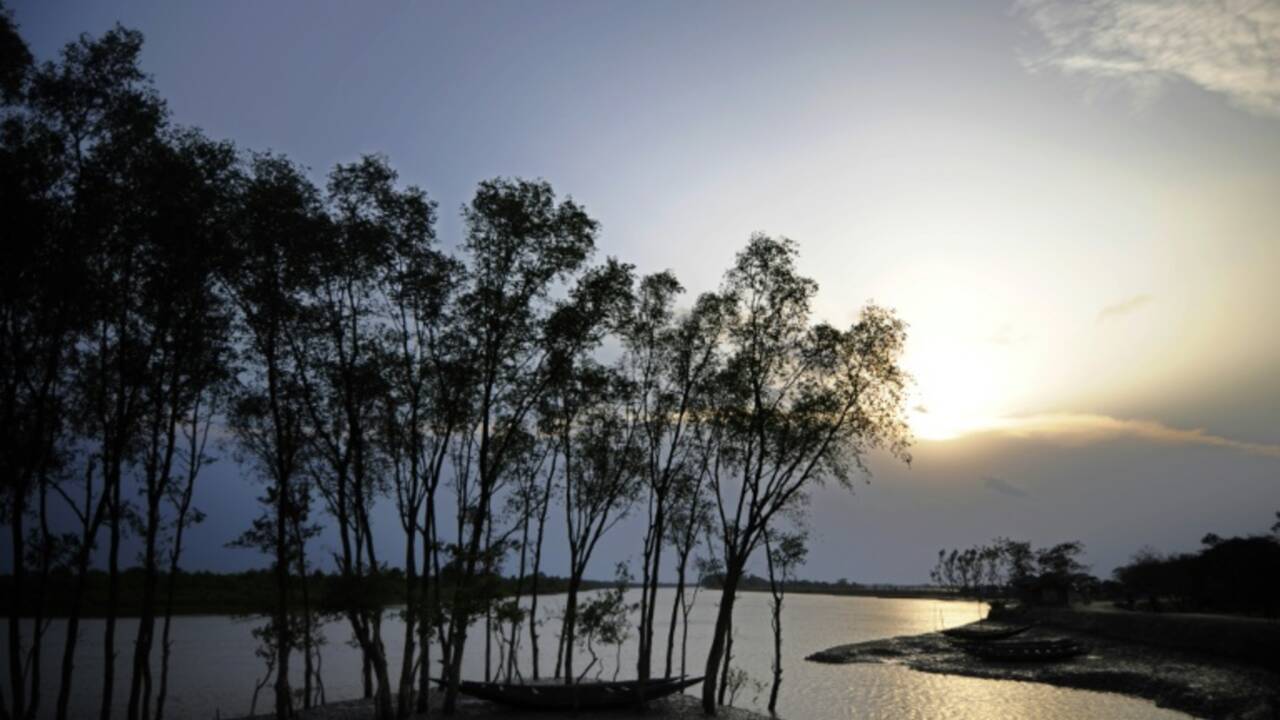 L'Unesco appelle le Bangladesh à renoncer à une centrale près des Sundarbans