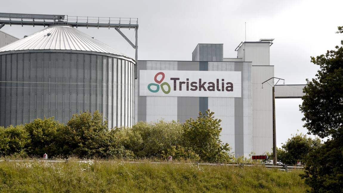 Pesticides chez Triskalia: les députés européens réclament une enquête