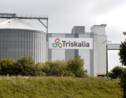 Pesticides chez Triskalia: les députés européens réclament une enquête