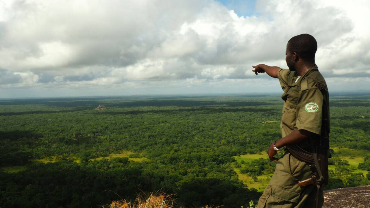 Au Mozambique, l'agriculture de conservation au secours de la forêt