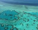 Pour l'Unesco, la grande barrière de corail n'est pas en péril