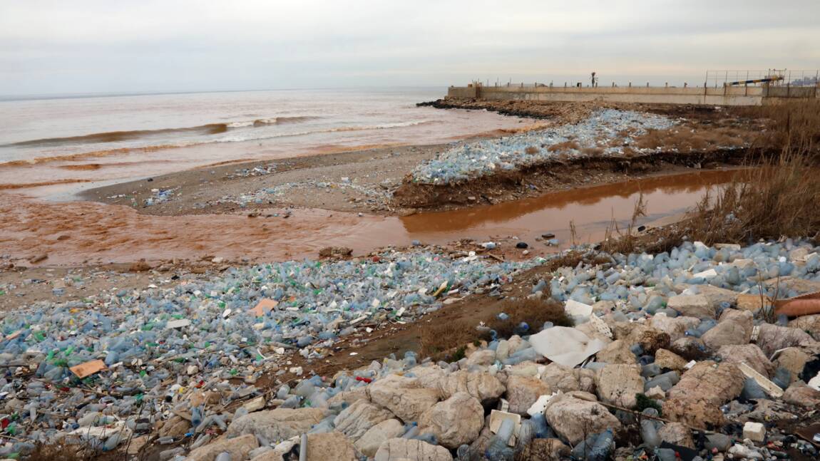 Le WWF mobilise pour sauver la Méditerranée du plastique